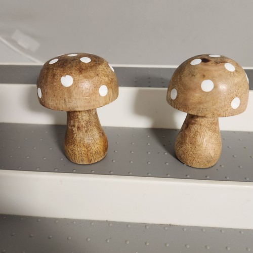 Wooden mushroom set with - wooden,