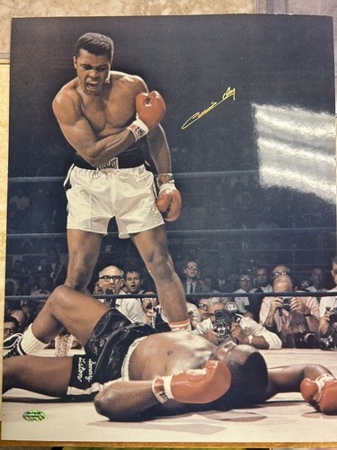 Muhammad ali signed - ali, cassius