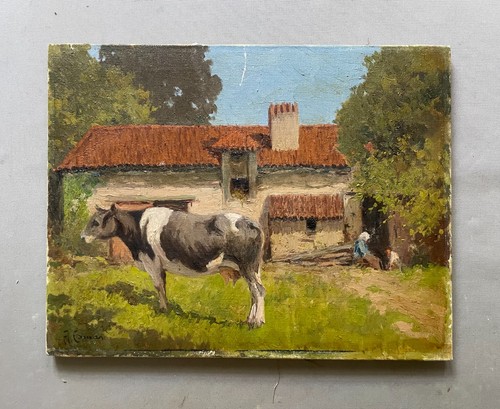 Cow front a farm - in,