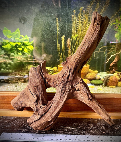 Natural aquarium driftwood - natural,