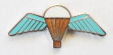 BRITISH ARMY PARACHUTE WINGS LAPEL PIN OR WALKING STICK MOUNT