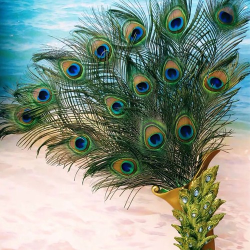 20pcs long natural peacock - natural,