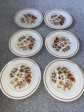 Set Of 6 Vintage Pyrex Harvest