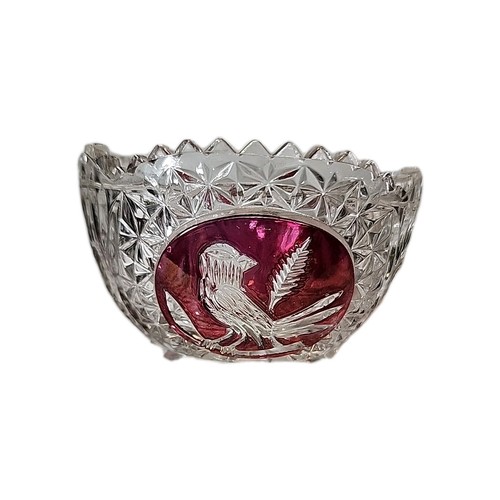 Hofbauer collection byrdes - collection,