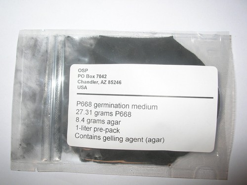 Orchid flask medium - , p668