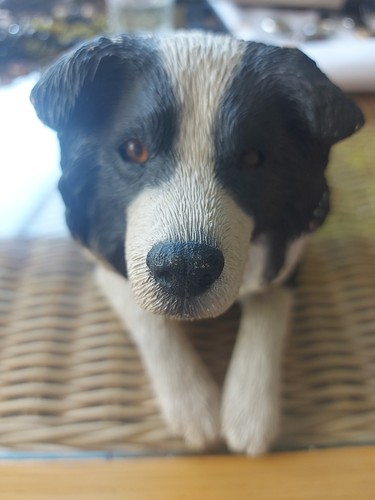 Sandicast collie dog long - sandicast,