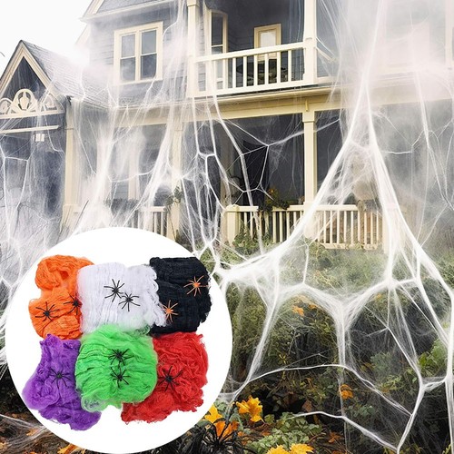 Halloween spider web with - spider,