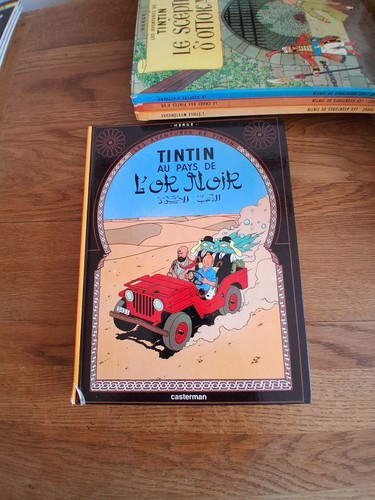 Tintin pays or noir - pays,