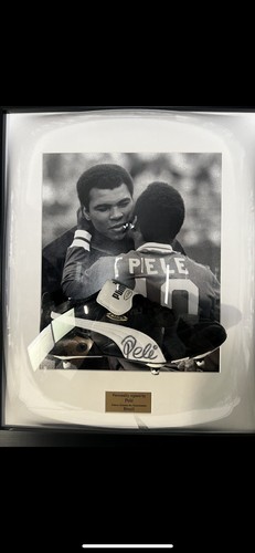 Signed pele - pele, (puma
