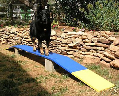 Dog agility mini puppy - agility,