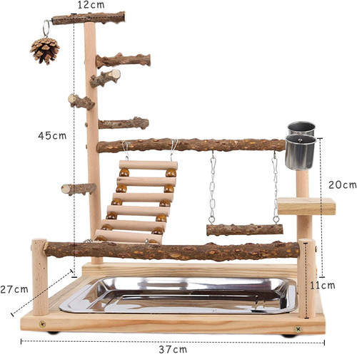 Bird playground parrot play - bird,