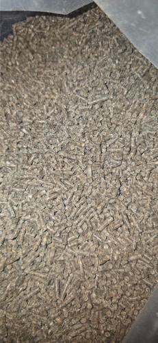 3mm bloodworm pellet a - 3mm, in
