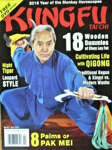 Kung tai chi master - 3/16,