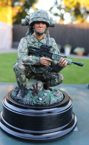 British army soldier - army,