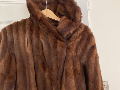 Vintage siberian fur store - vintage,