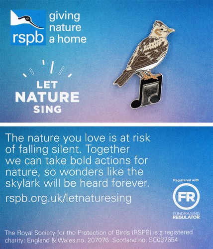 Rspb pin badge special gnah - badge,