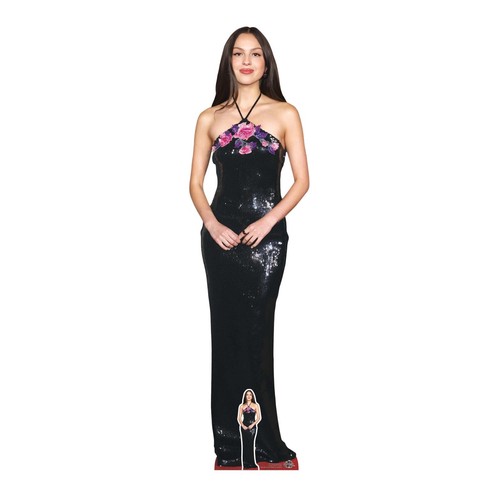 Rodrigo lifesize cardboard - o.,