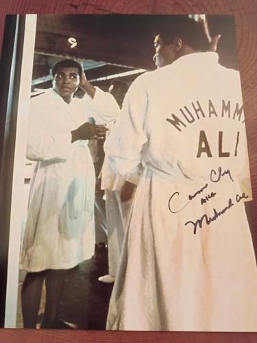 Boxing nice cassius - cassius, clay