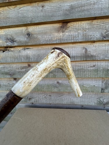 Vintage walking stick - walking, with
