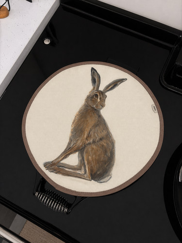 Aga cooker hob hair - hob,