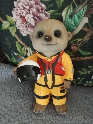 Vivid arts meerkat rnli - arts,