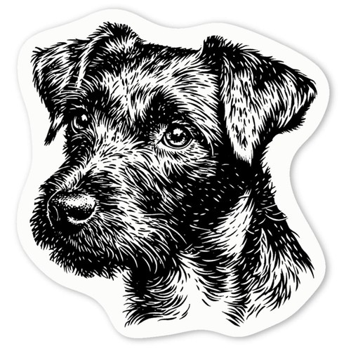 Patterdale terrier portrait - terrier, portrait'