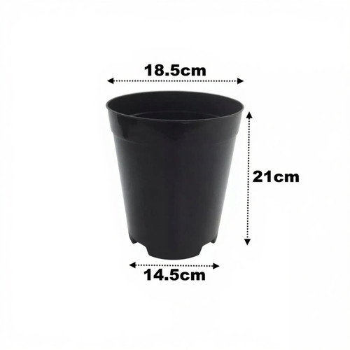 Litre deep rose plant pots - 4,