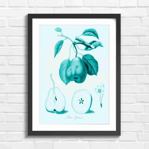 Vintage botanical pear - botanical, branch