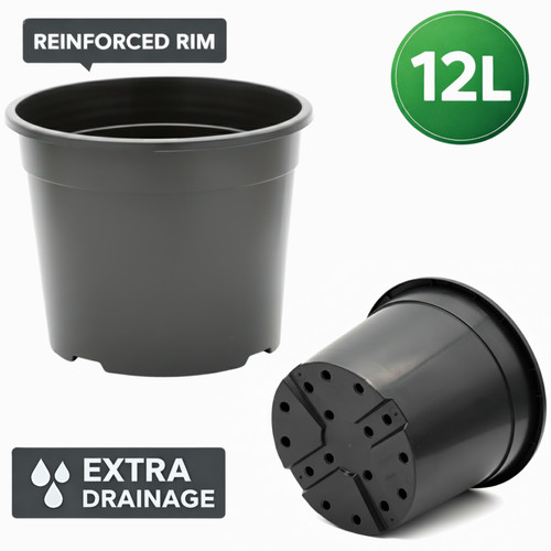12l plastic plant - plastic, black