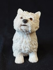 Leonardo 'West Highland White