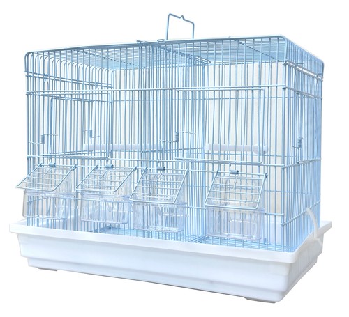 Canary budgie aviary lovebird - canary,
