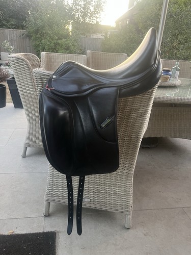 Amerigo vega dressage - amerigo,