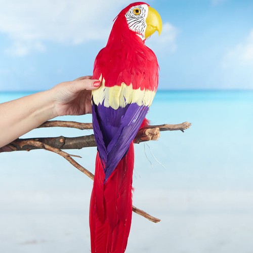 Life size tropical - size, red