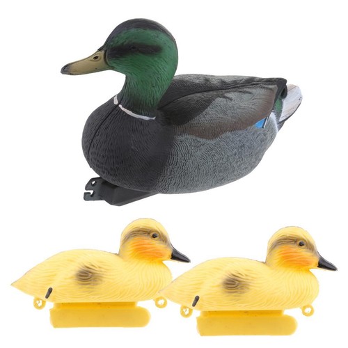 Floating mallard duck - 3x,
