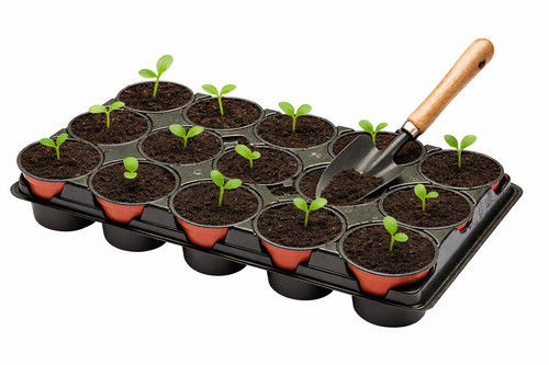 Pot seed starter tray - seed,