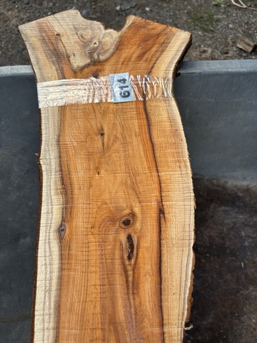 Yew plank wood - plank,yew,