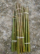Super Willow - 50 x Salix Viminalis Gigantea Unrooted Cuttings for planting now