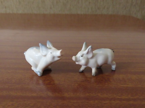 Small beswick piglets pigs - 2,