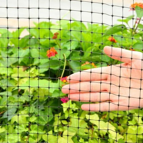 Anti bird netting - bird,