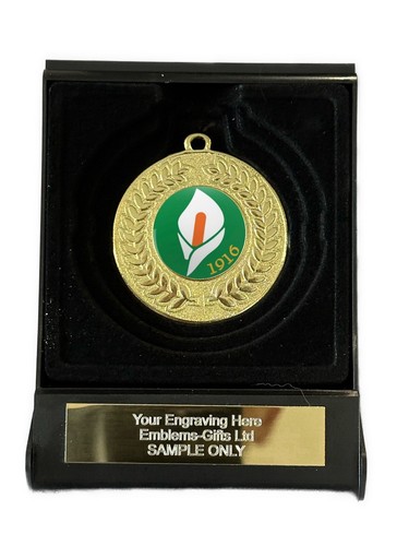 Easter rising 1916 - rising,