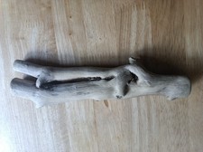 Unique Gnarled Driftwood Piece