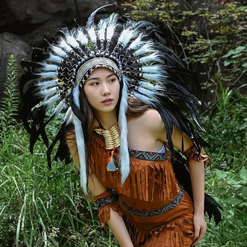 Native american indian - native,
