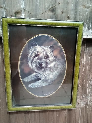 Cairn terrier pollyanna - cairn, by