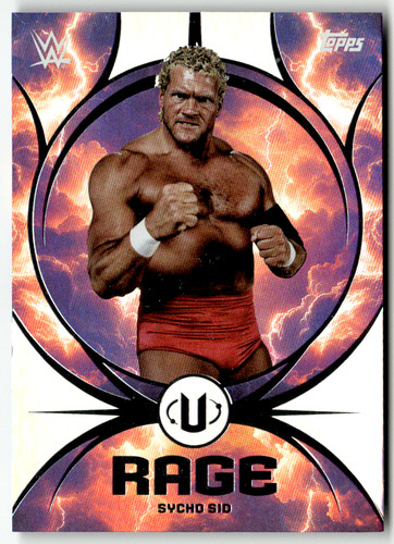 Topps universe wwe 2025 - wwe,