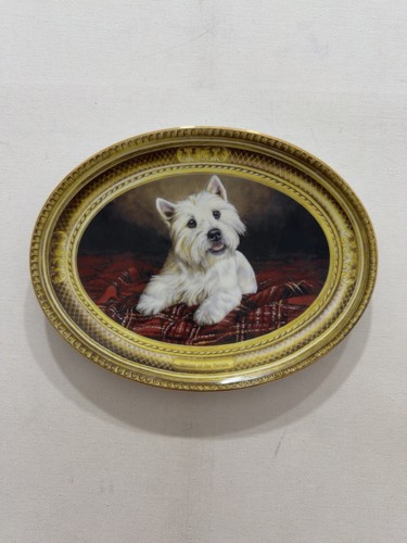 West highland white terrier - highland,