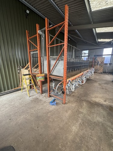 Sheep milking parlour and - sheep,
