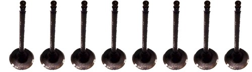 Engine valve set - engine, inlet