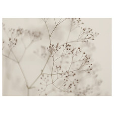 Ikea Bjorksta Flowers close up