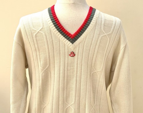 Men cricket jumper - men’s,