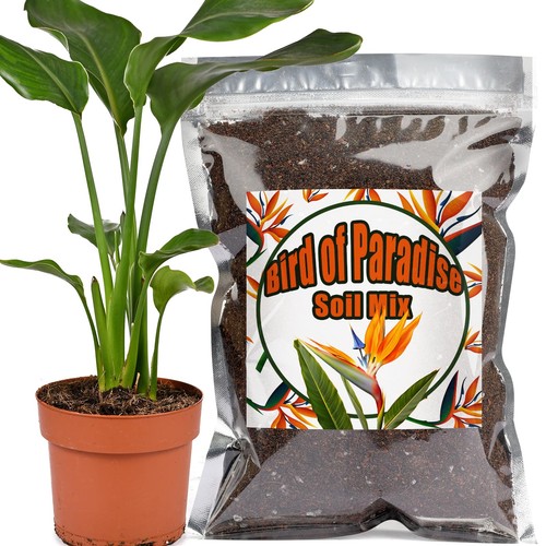 Organic bird paradise - bird,